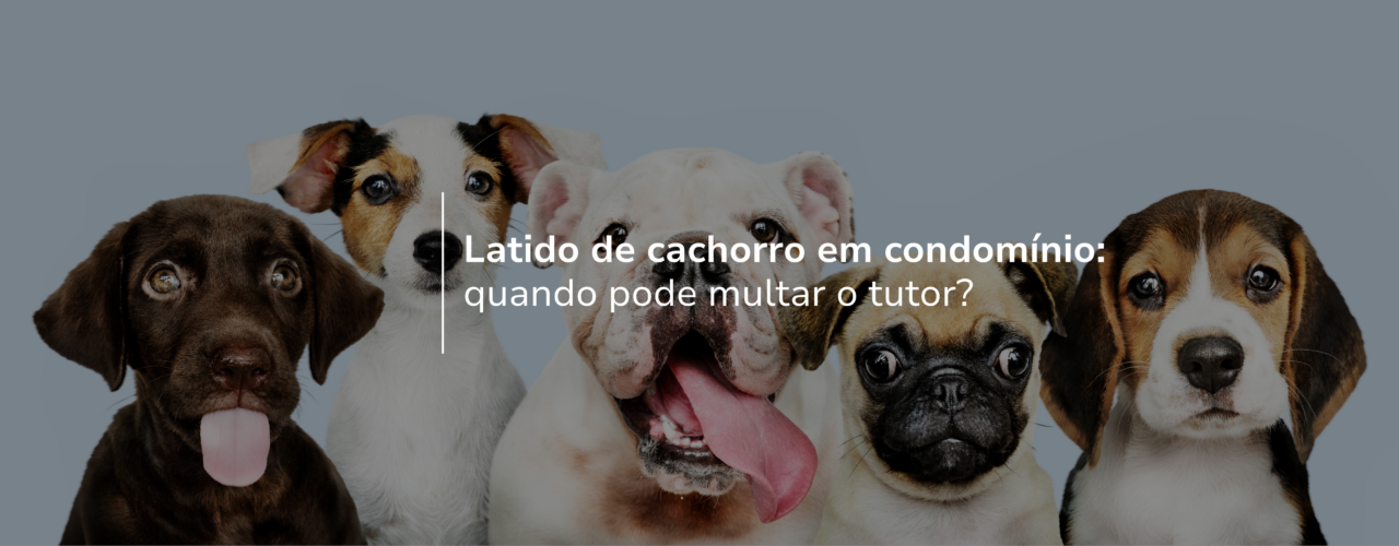 Latido de cachorro em condomínio: quando pode multar o tutor?